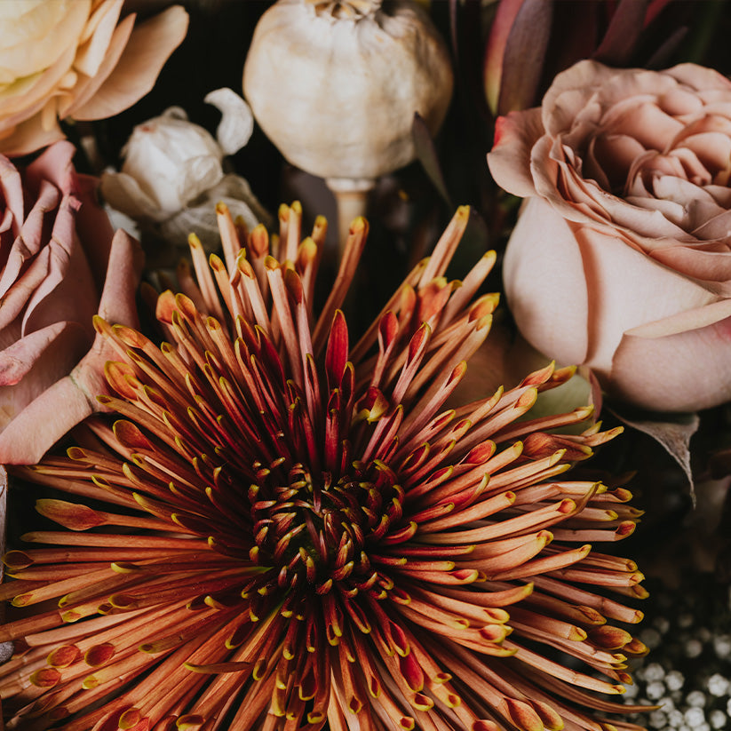 Somewhere Only We Know