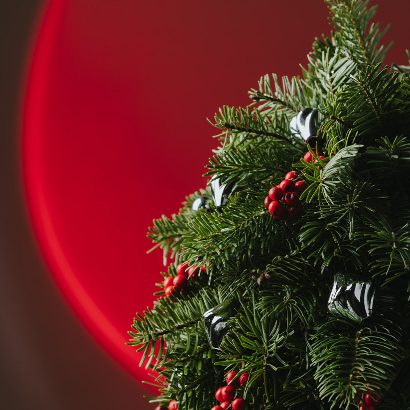 Cheers to New Year Çam Ağacı