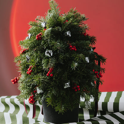 Cheers to New Year Çam Ağacı