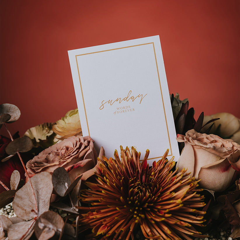 Somewhere Only We Know