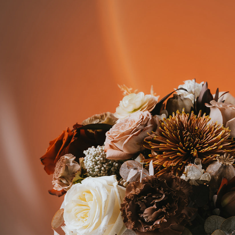 Somewhere Only We Know