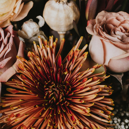 Somewhere Only We Know